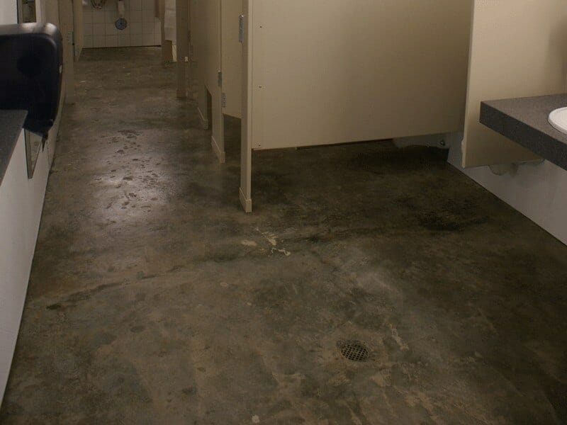 Sealed Concrete Flooring in Restroom