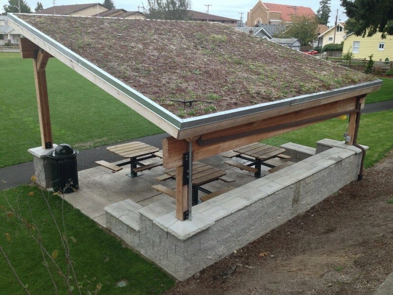 Single Pitch Roof Shelter with Unique Living Roof