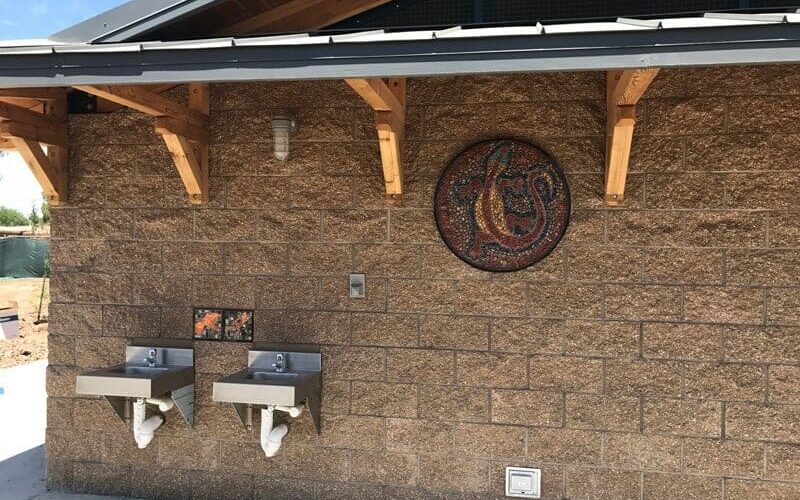 Unique Restroom with Locally Inspired Mosaic
