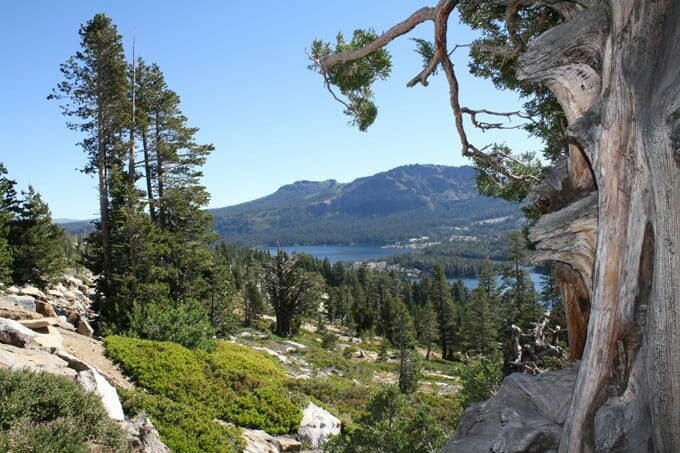high-elevation-alpine-climate-in-california Beautiful Landscape Located High in the Mountains