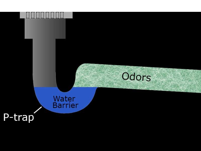 Diagram Showing Mechanics of Water Trap