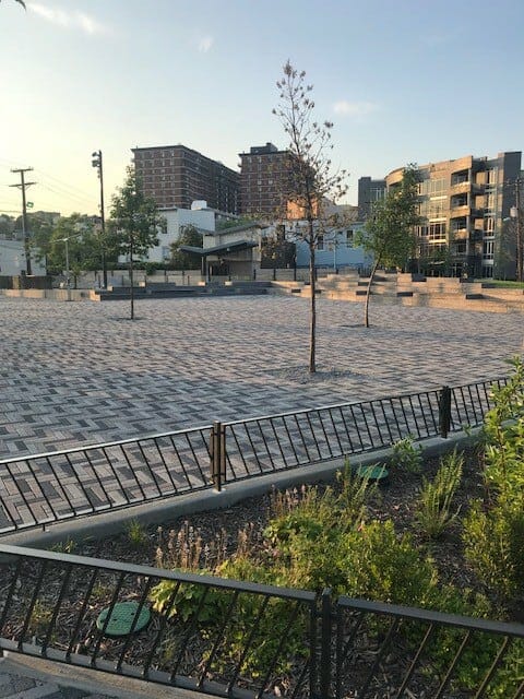 Stylish Pavers Creating a Unique Aesthetic in Urban Park