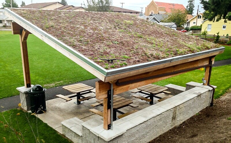 Living Roof